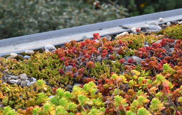 the cost of Nog Tow green roof installation