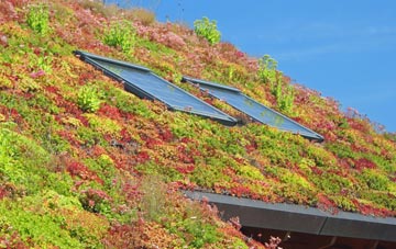 Nog Tow living roof systems