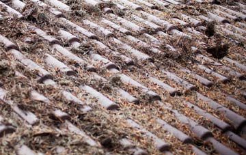 Nog Tow roof cleaning companies