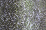 Nog Tow fibreglass roof work