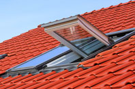 Nog Tow roof window